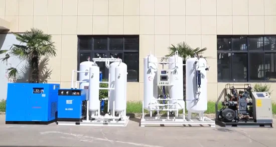 China Psa Oxygen Generator Hot Sale for Waste Water Treatment